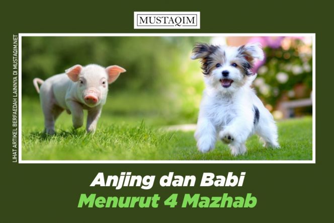 
					Anjing dan Babi Menurut 4 Mazhab